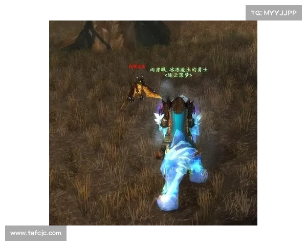 魔兽世界小宠升级攻略：快速提升战力